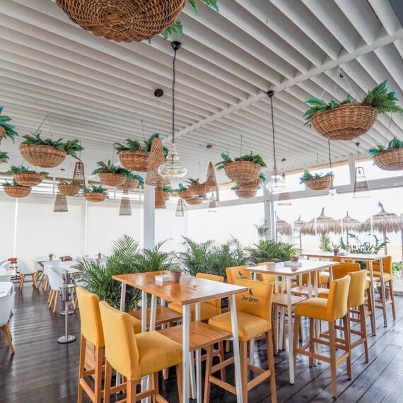 terraza primera linea de playa El Buzo